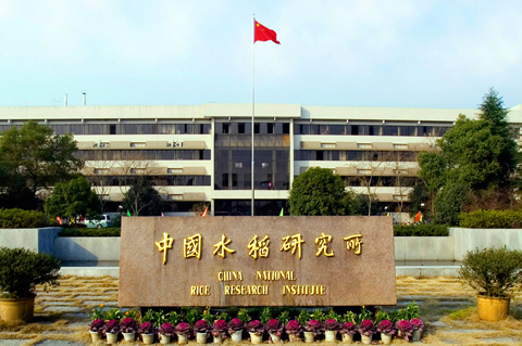 中國(guó)水稻研究所-王丹英